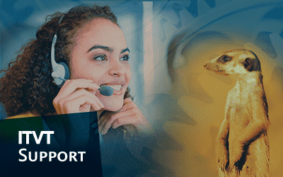 Eine Frau mit einem Headset telefoniert, begleitet von einem Erdmännchen, das neben ihr steht.